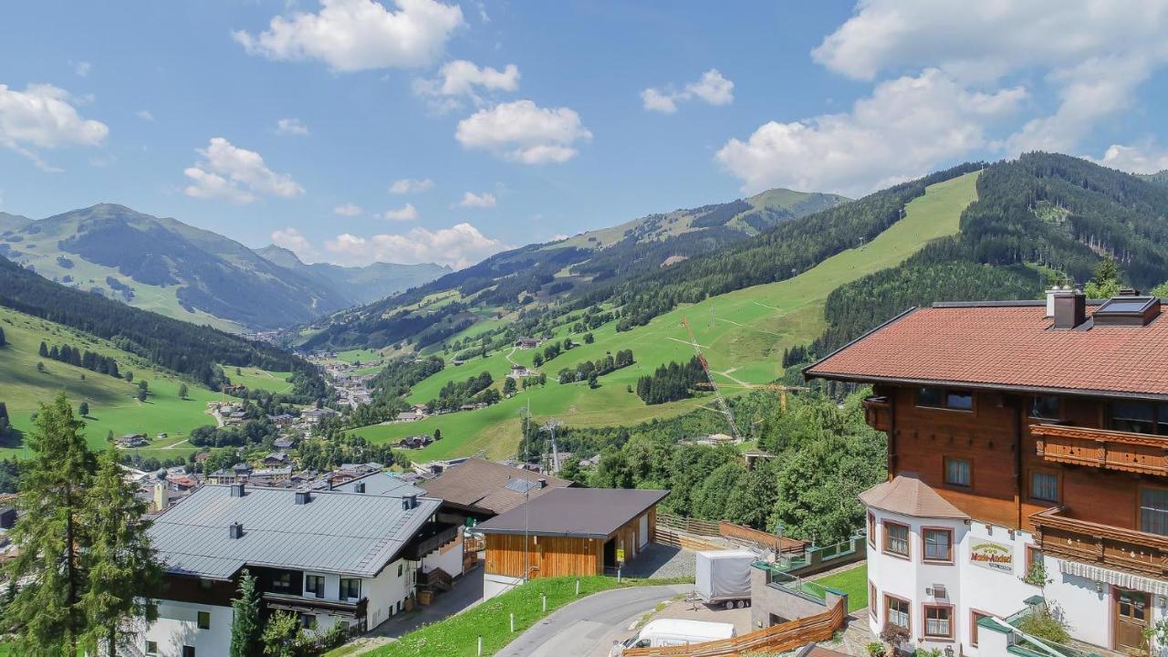 Appartement-Gaestehaus Marie Anderl 萨尔巴赫 外观 照片